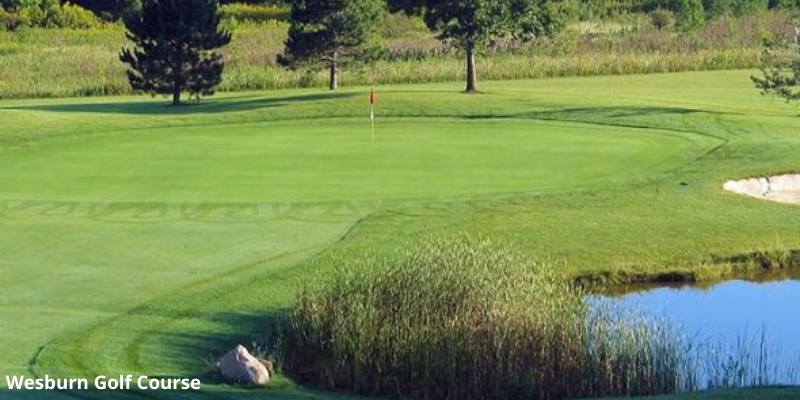 Best Public Golf Courses In Detroit